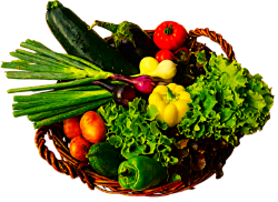 Bild von Bio Kiste - Lieferung am nächsten Samstag 9:30 Uhr