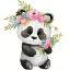 Bild von Panda