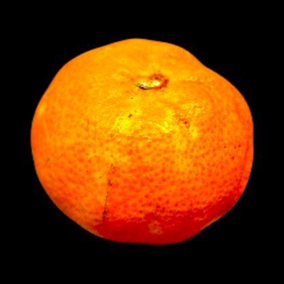 Picture of Veltliner (0,75)l